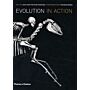 Evolution in Action - Natural History through Spectacular Skeletons