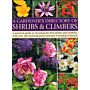 A Gardener's Directory of Shrubs & Climbers