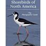 Shorebirds of North America