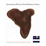 Koninklijk Museum voor Midden Afrika : Collecties van het KMMA - Hout