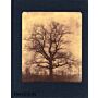 Creation of a Moment: The Photography of William Henry Fox Talbot