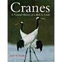 Cranes - A Natural History of a Bird in Crisis
A Natural History of a Bird in Crisis