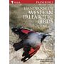 Birds of the Western Palearctic: Passerines - 2 volume Set