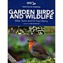 Garden Birds and Wildlife