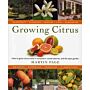 Growing Citrus