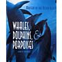 Whales, Dolphins, Porpoises