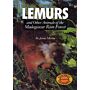 Lemurs and Other Animals of the Madagascar Rain Forest