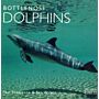 Bottlenose Dolphins