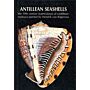 Antillean Seashells: the 19th Century Watercolours of Caribbean Molluscs painted by