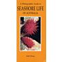A Photographic Guido to Seashore Life of Australia