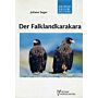 Die Falklandkarakara (Phalcoboenis australis)