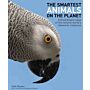 The smartest animals on the planet - Extraordinary Tales of the Natural World's Cleverest Creatures