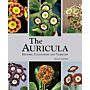 The Auricula - History, Cultivation and Varieties