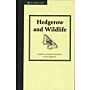 Hedgerow and Wildlife