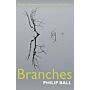 Branches