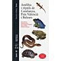 Amfibis i Rèptils de Catalunya, País Valencià i Balears