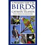 A Photographic Guide to the Birds of the Cayman Islands