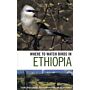 Where to Watch Birds in Ethiopia (reprinted with corrections 2015)