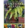 The encyclopedia of container plants