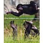 The Exultant Ark - A Pictorial Tour of Animal Pleasure
