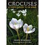 Crocuses : A complete guide to the genus