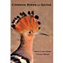 Common birds of Qatar