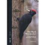 The Black Woodpecker - A monograph on Dryocopus martius