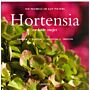 Hortensia en haar zusjes