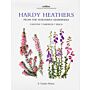 Hardy heathers from the Northern hemisphere