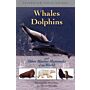 Whales, Dolphins and Seals (PBK)