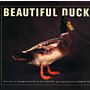 Beautiful Ducks