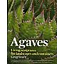 Agaves - Living Sculptures for Landscapes and Containers