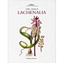 The Genus Lachenalia