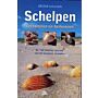 Schelpen verzamelen en herkennen