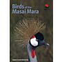 Birds of the Masai Mara