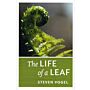 The Life of a Leaf