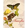 A Flutter of Butterflies