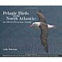 Pelagic Birds of the North Atlantic - An Identification Guide