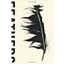 Feathers - The Evolution of a Natural Miracle (PBK)
