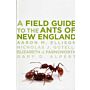 A Field Guide to the Ants of New England