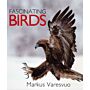 Fascinating Birds