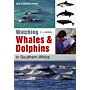 Watching Whales & Dolphins in Southern Africa