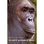 Planet without Apes