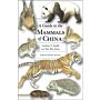 Mammals of China