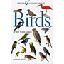 Birds of the West Indies