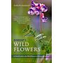 Harrap's Wild Flowers