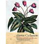 Genus Cyclamen in Science, Cultivation, Art and Culture