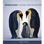 Penguins - Close Encounters