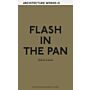 Architecture Words 13 - Flash in the Pan