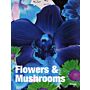 Flowers & Mushrooms